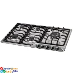 گاز استیل درسا مدل رایا DG2200 5R 6 –