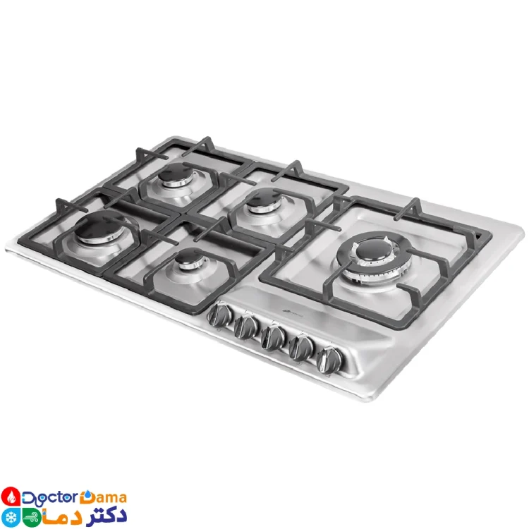 اجاق گاز استیل درسا مدل رایان DG2208-5R